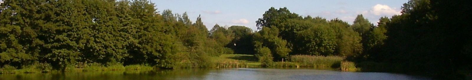 Hintergrundbild Intranet